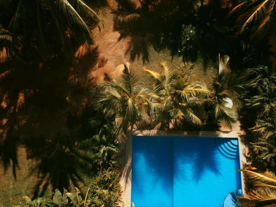 Photo of Outdoor in Aserradores