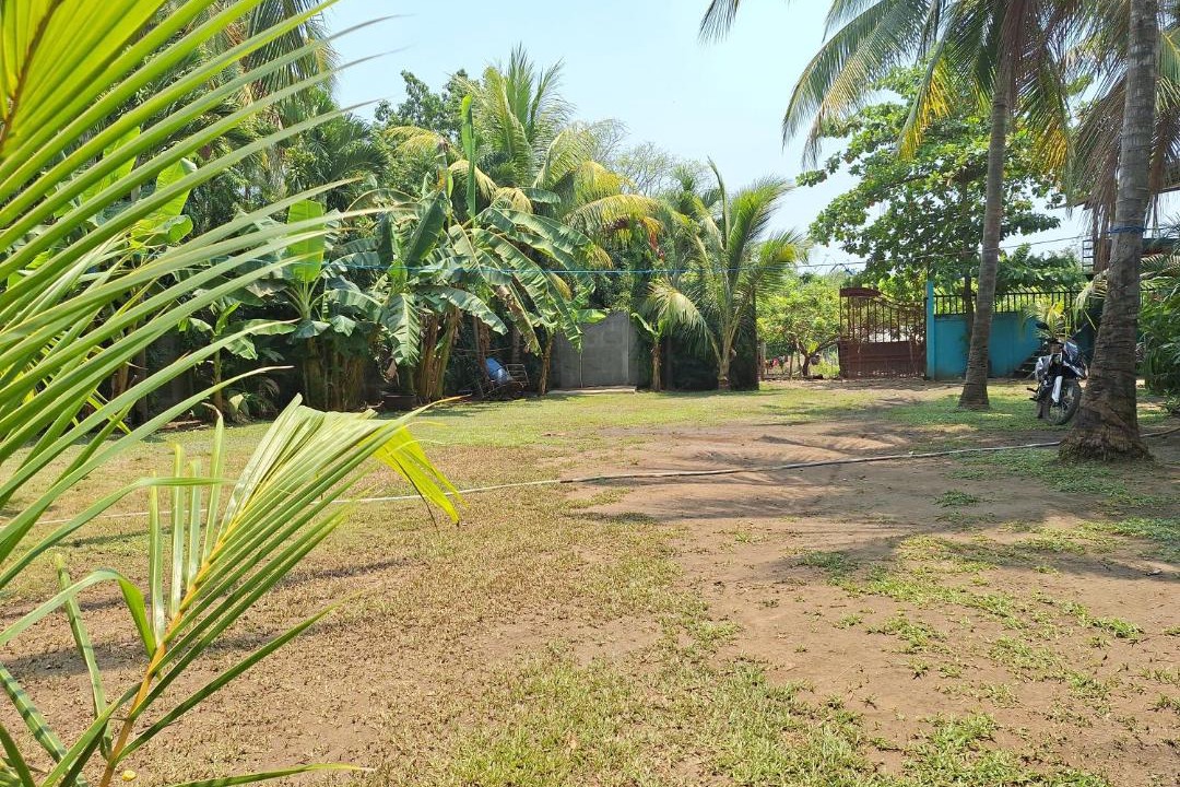 Photo of Others in Aserradores