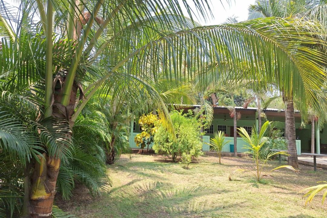 Photo of Others in Aserradores