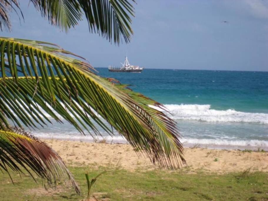 Photo of Others in Corn Island