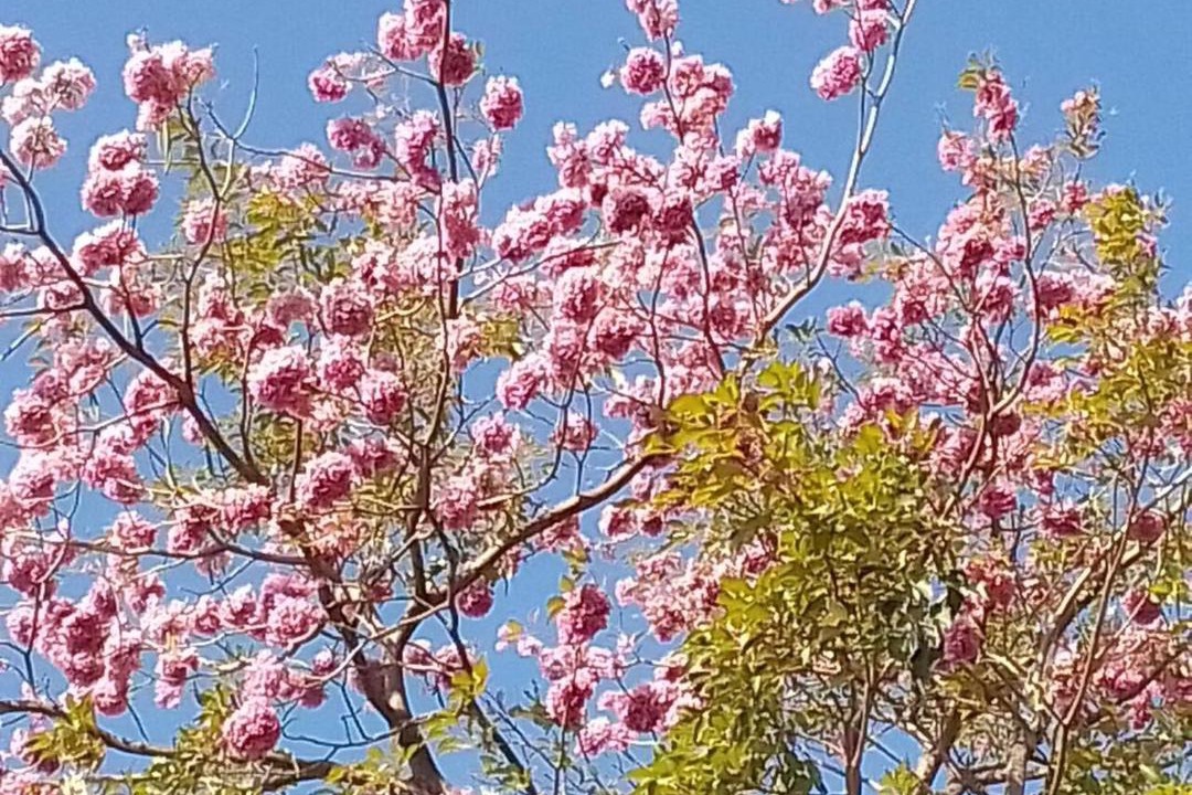 Photo of Outdoor in Santa Cruz