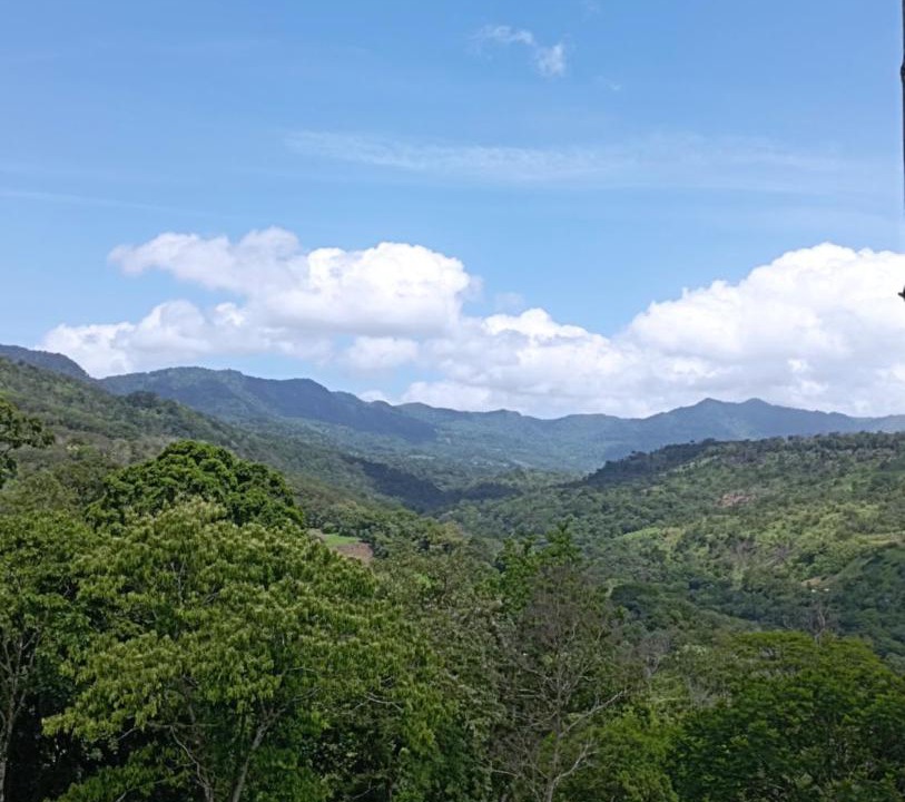 Photo of Others in Matagalpa