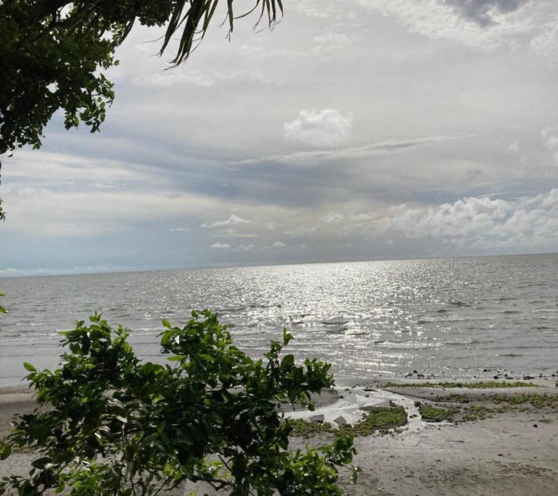Photo of Others in Ometepe Island