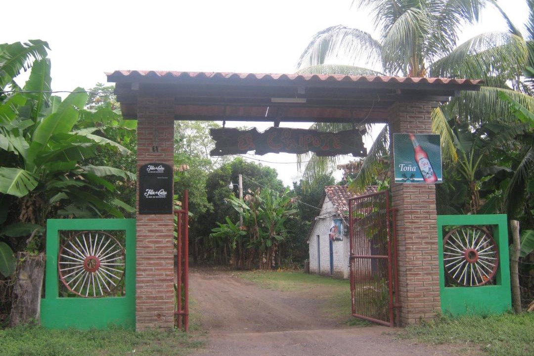 Photo of Others in Ometepe Island