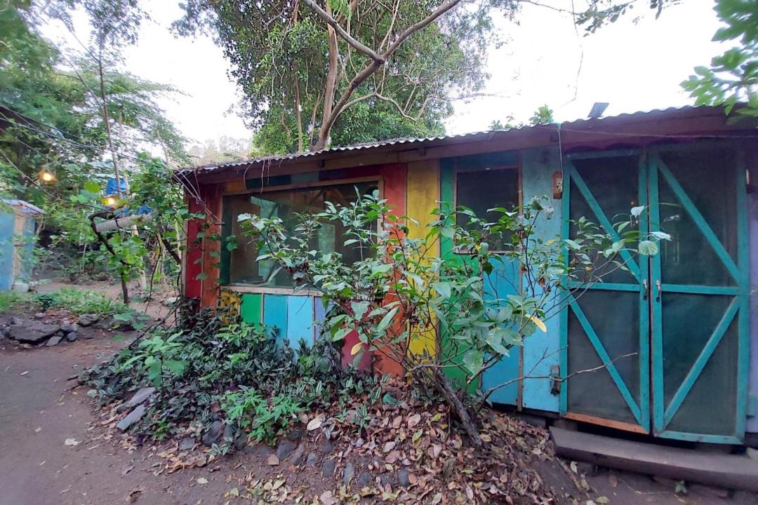 Photo of Others in Ometepe Island