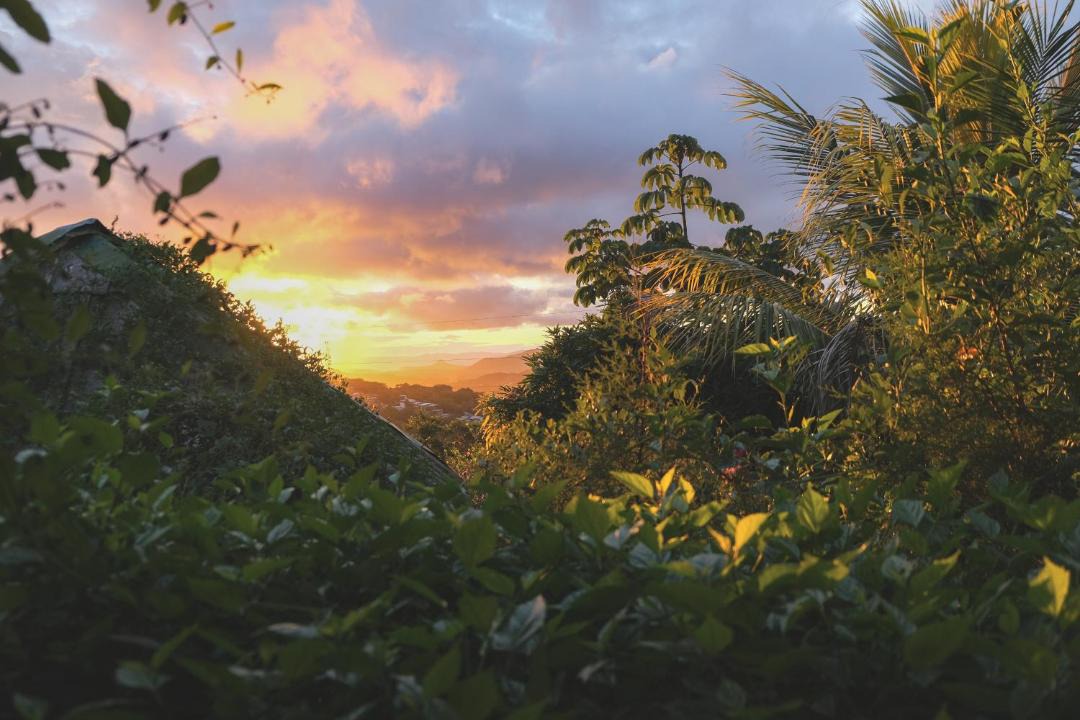 Photo of Others in Matagalpa