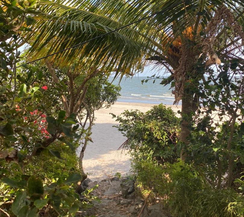 Photo of Others in Ometepe Island