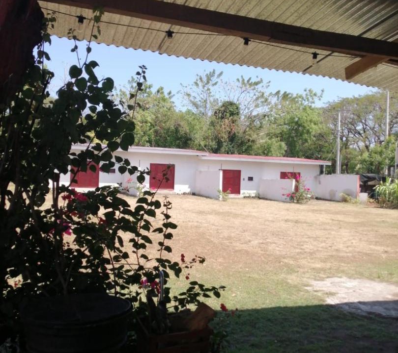 Photo of Others in Ometepe Island