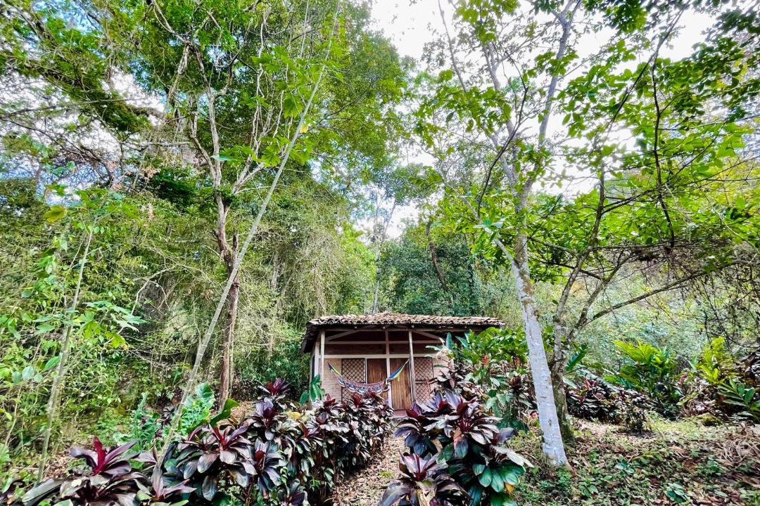 Photo of Others in Matagalpa