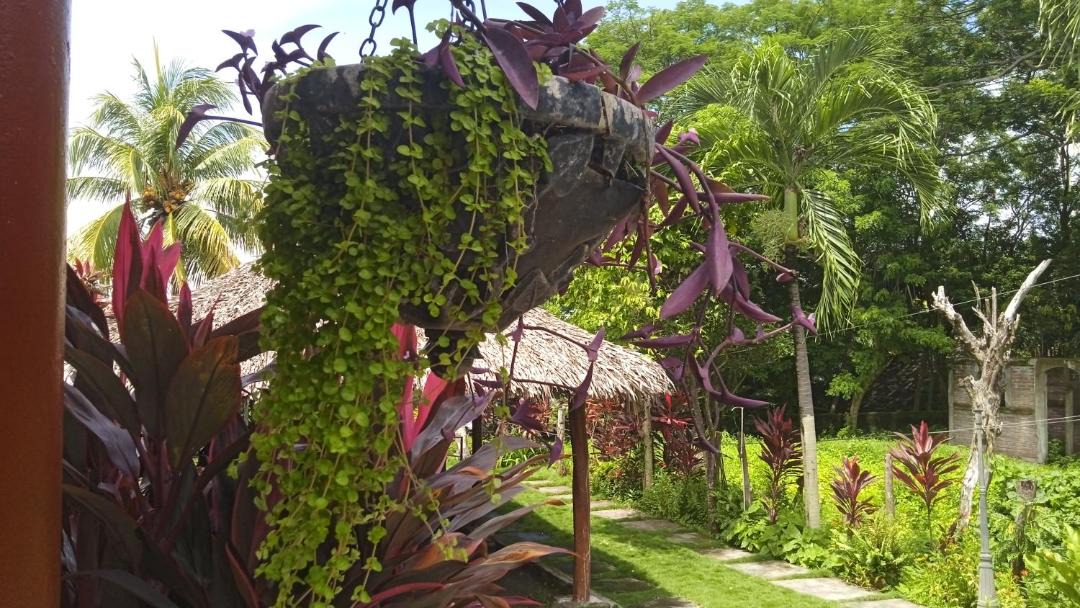 Photo of Others in Santo Domingo