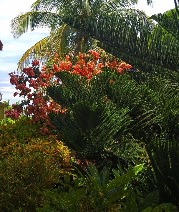 Photo of Outdoor in Santo Domingo
