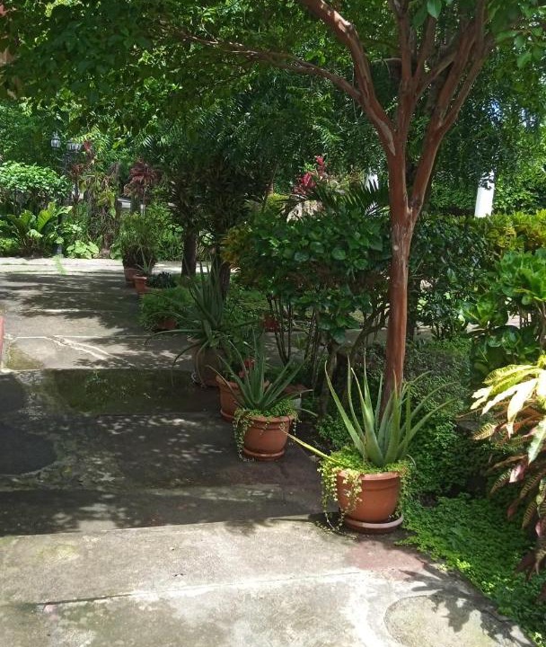 Photo of Outdoor in Santo Domingo