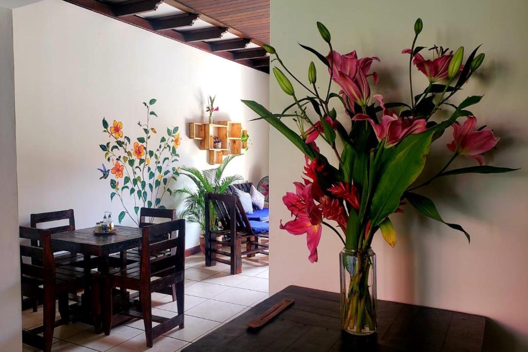 Photo of Livingroom in Leon