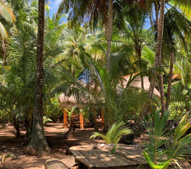 Photo of Others in Little Corn Island