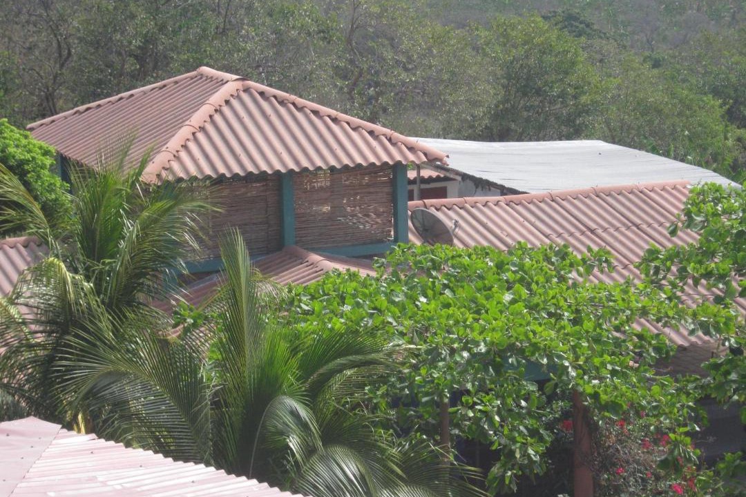 Photo of Others in Ometepe Island