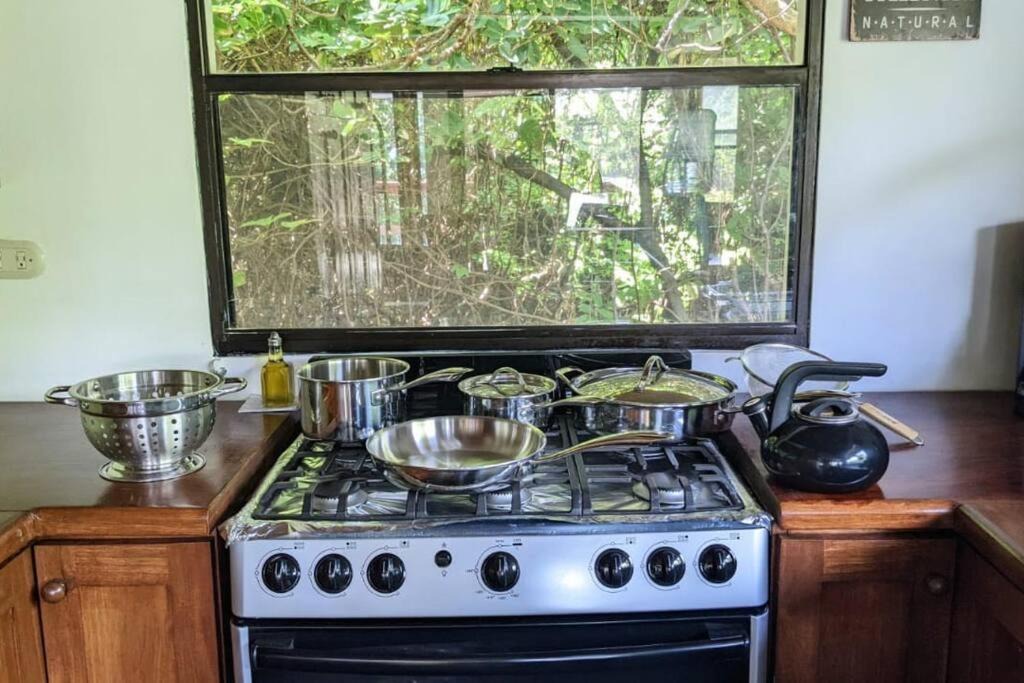 Photo of Kitchen in Rivas