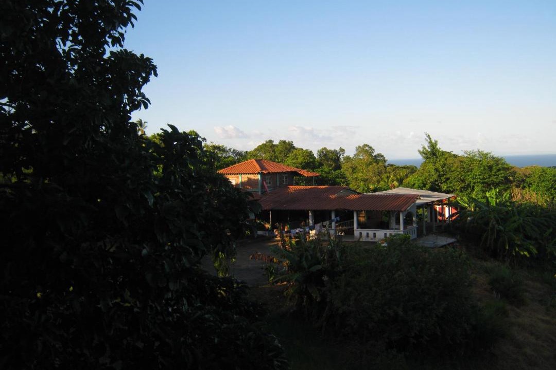 Photo of Others in Ometepe Island