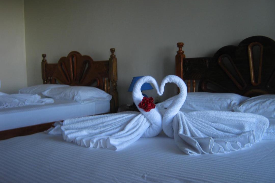Photo of Others in Ometepe Island