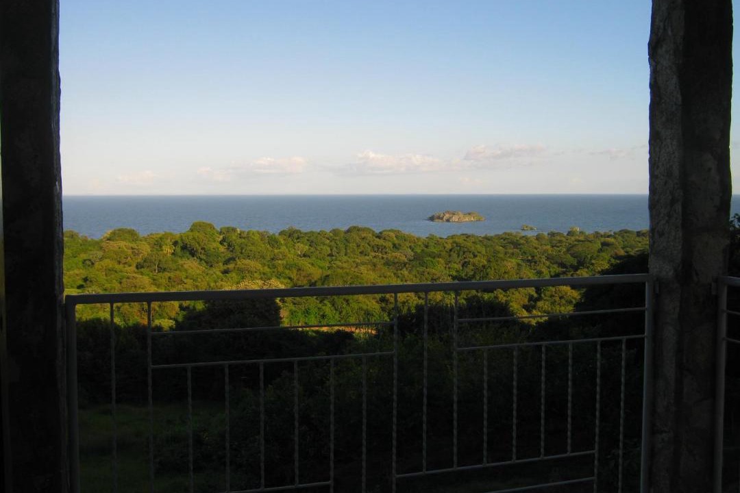 Photo of Others in Ometepe Island