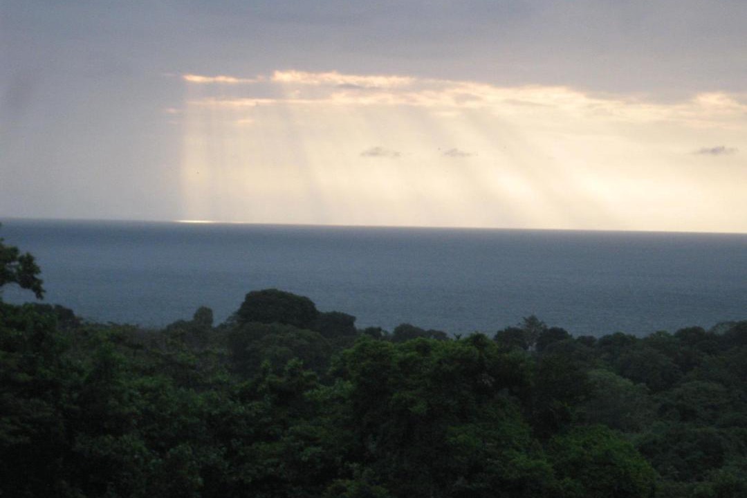 Photo of Others in Ometepe Island