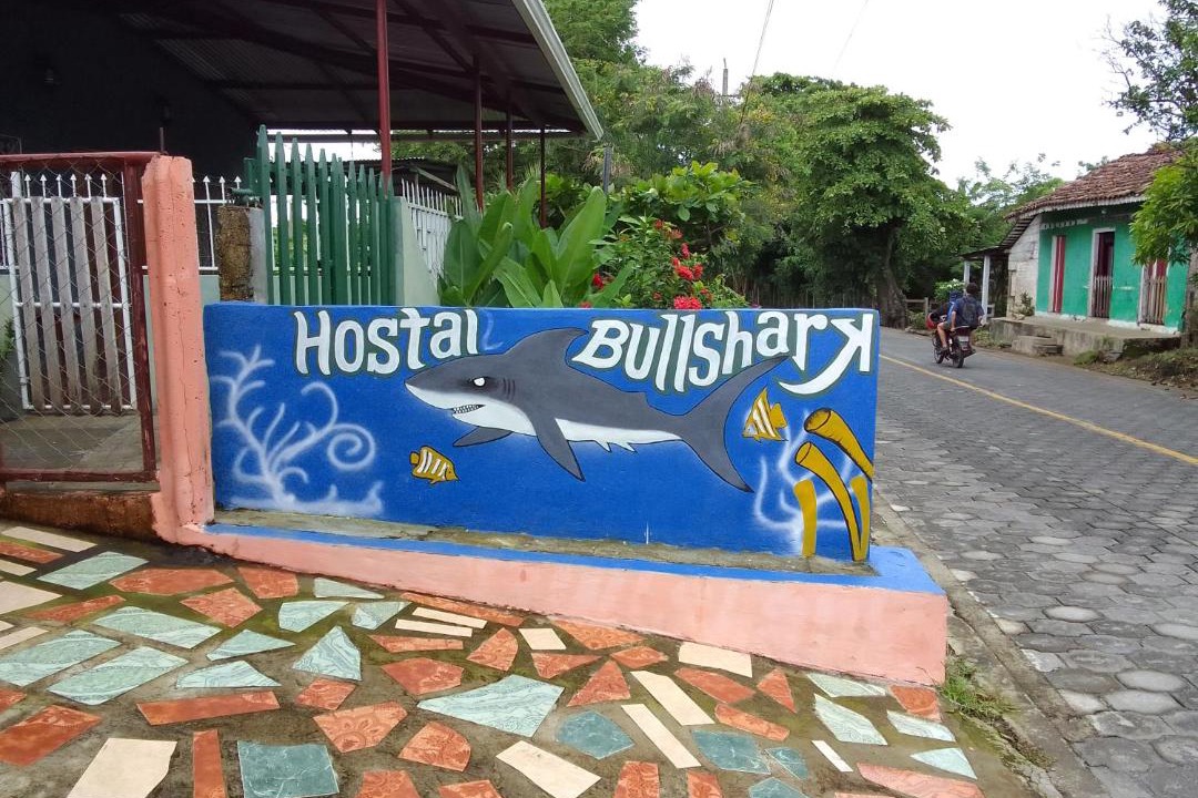 Photo of Others in Ometepe Island
