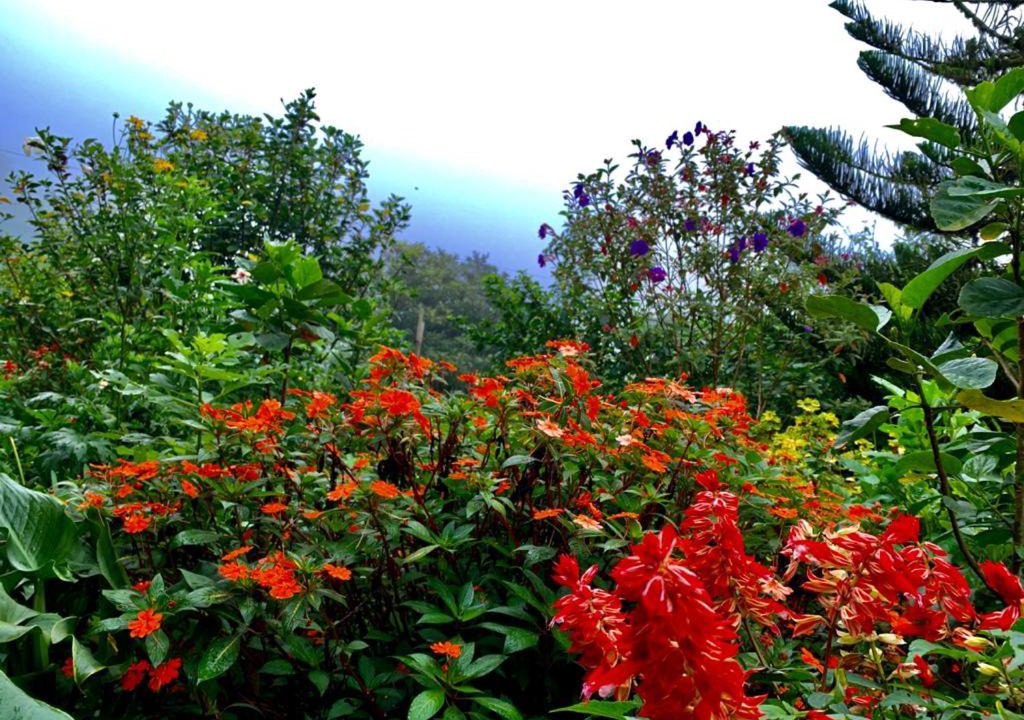 Photo of Outdoor in Puertas Azules