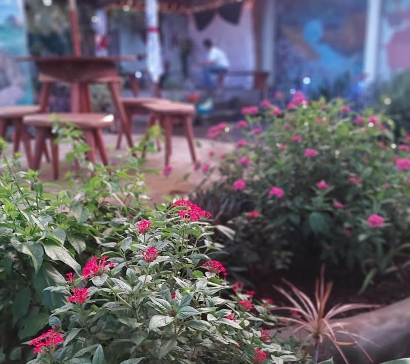 Photo of Others in Managua