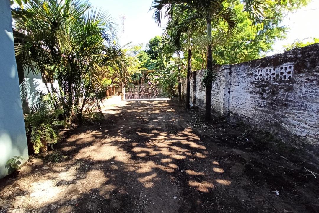 Photo of Others in Moyogalpa