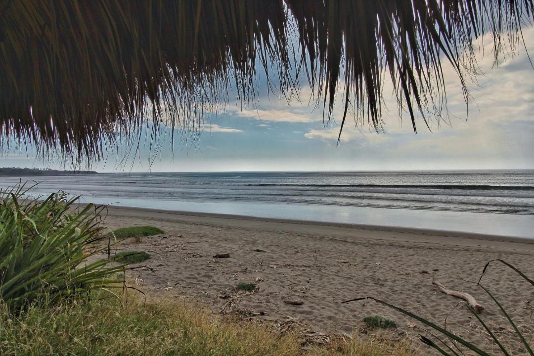 Photo of Others in San Diego