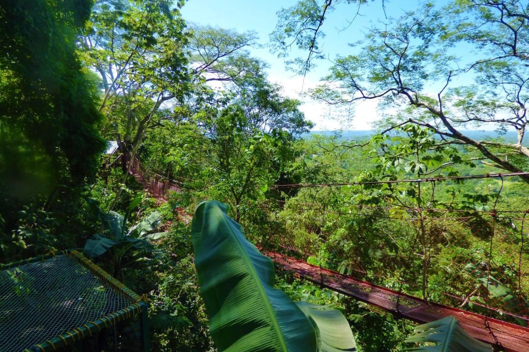 Photo of Outdoor in Mombacho Volcano Nature Reserve