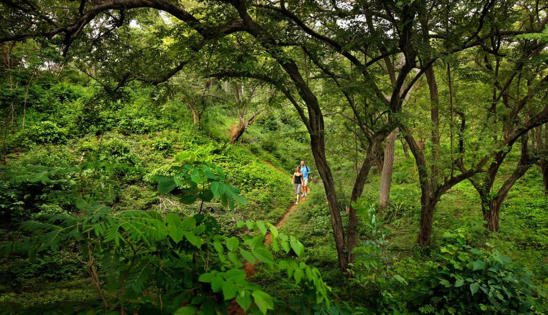 Photo of Others in Guacalito de La Isla