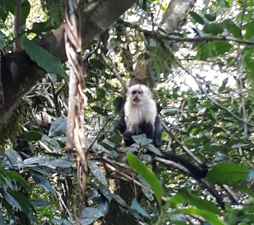 Photo of Others in Altagracia