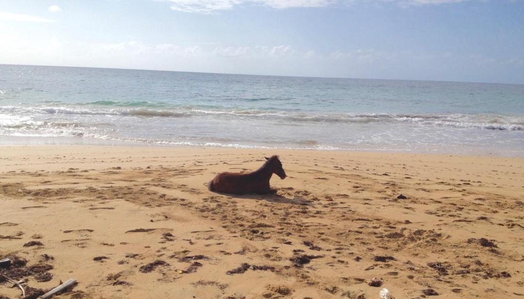 Photo of Others in Corn Island