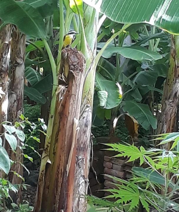 Photo of Others in Altagracia