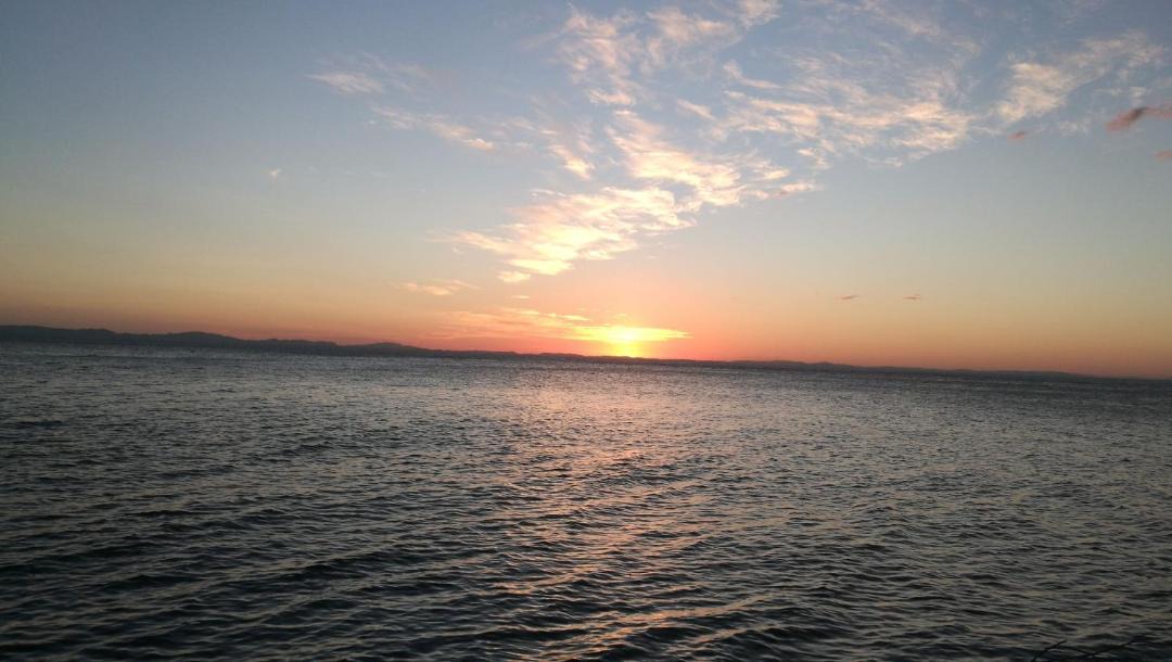 Photo of Others in Santa Cruz