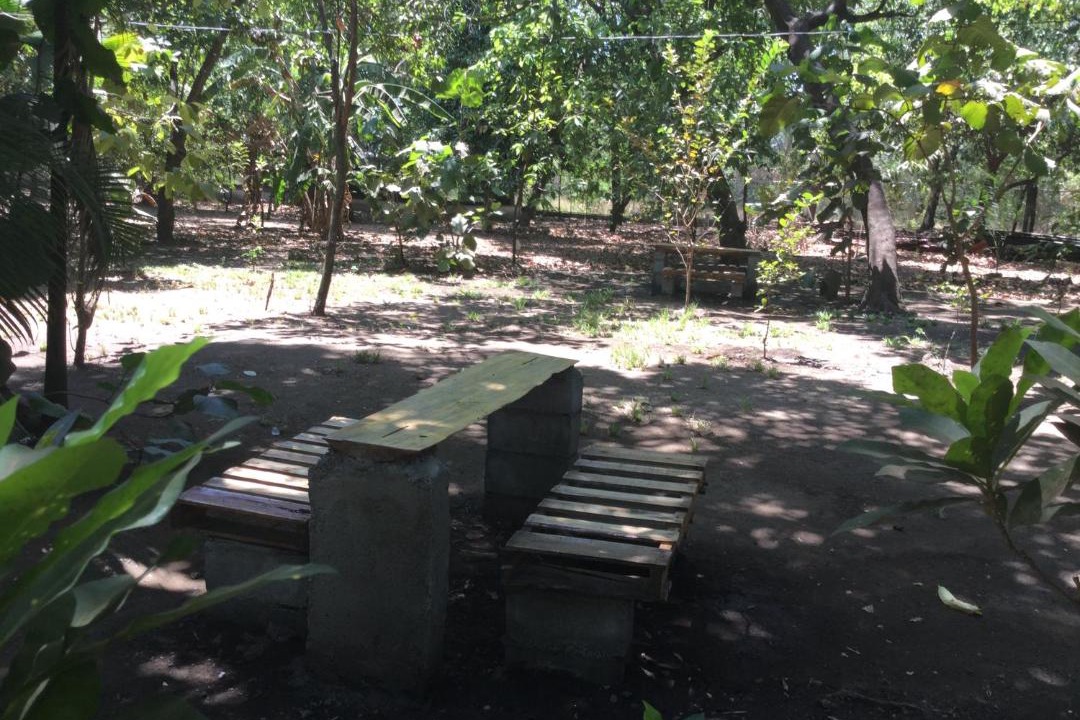 Photo of Others in Chinandega