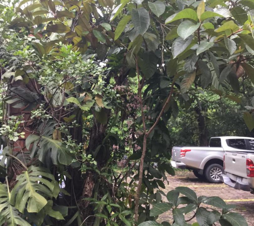 Photo of Others in Chinandega