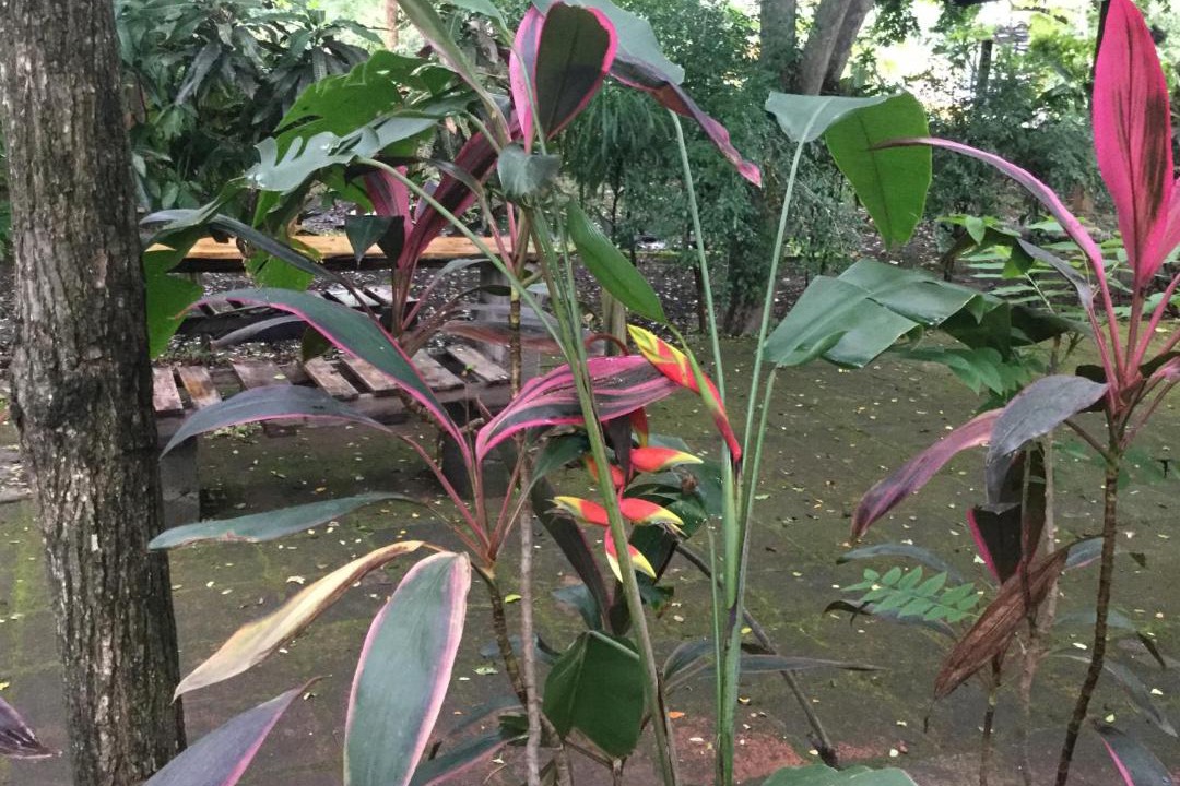 Photo of Patio Balcony in Chinandega