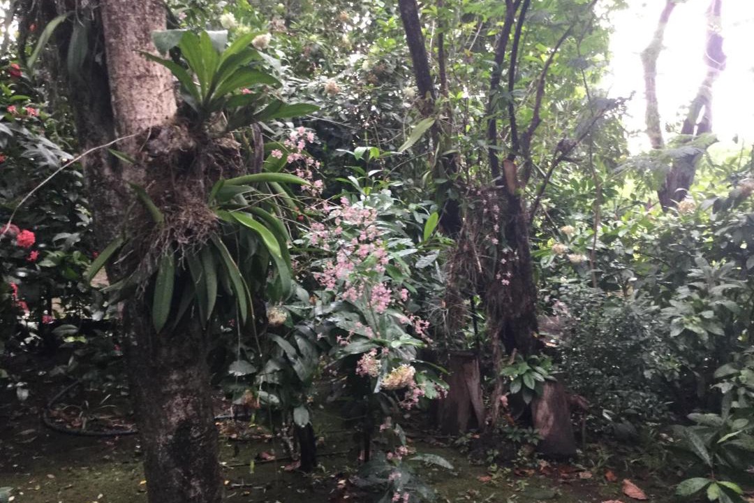 Photo of Outdoor in Chinandega