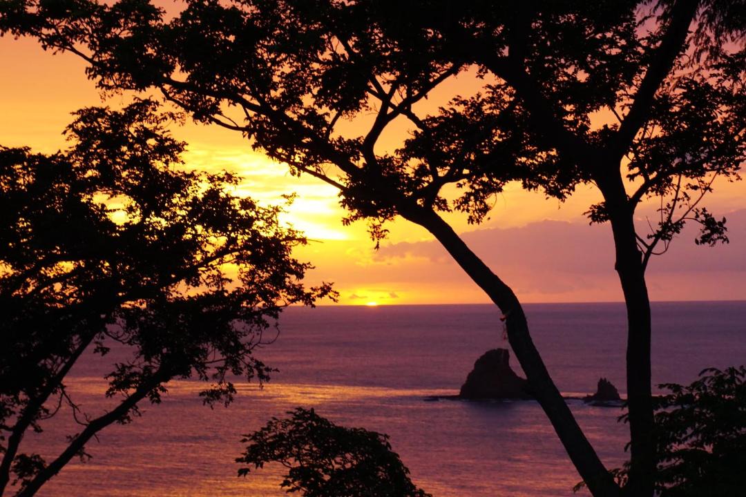 Photo of Others in San Juan del Sur