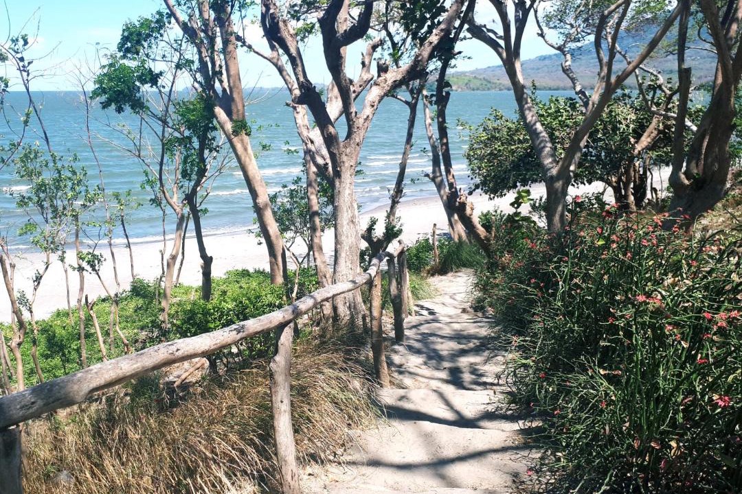 Photo of Others in Santa Cruz