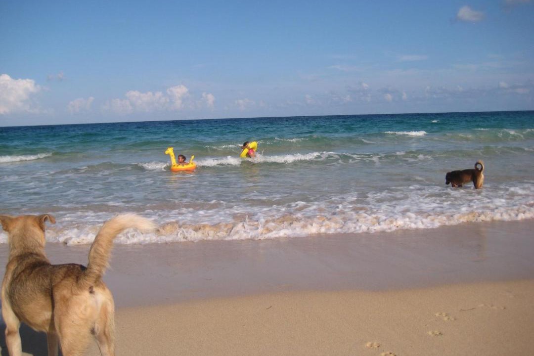Photo of Others in Corn Island