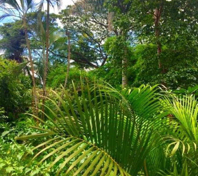 Photo of Outdoor in Managua