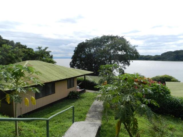 Photo of Buildings in San Carlos