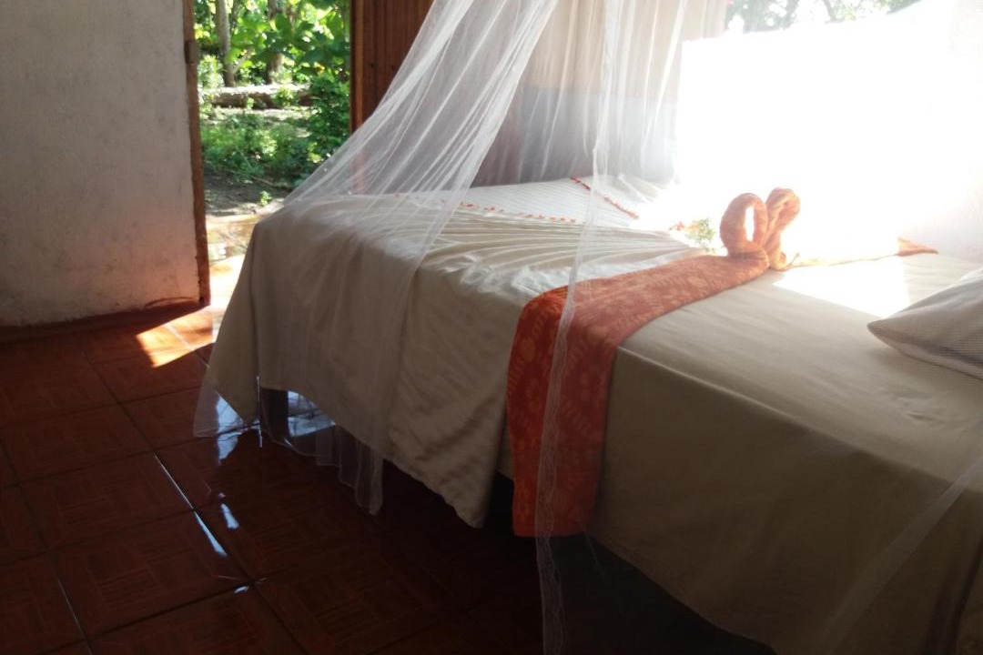Photo of Others in Santa Cruz