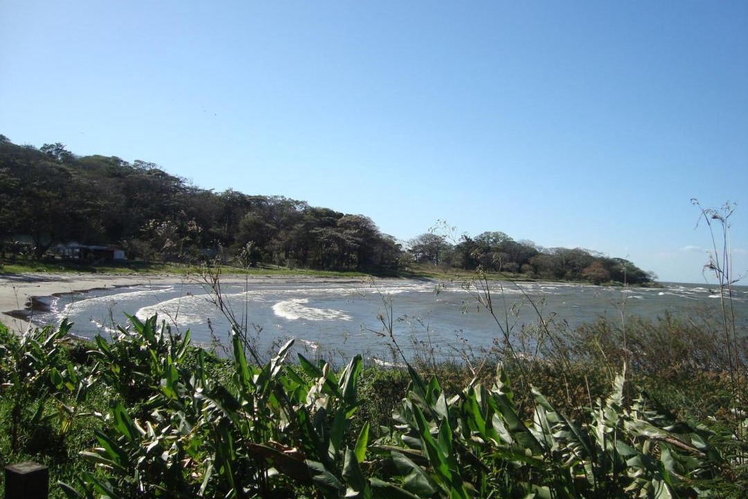 Photo of Others in Santa Cruz