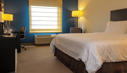 Standard Room, 1 King Bed, Lake View
