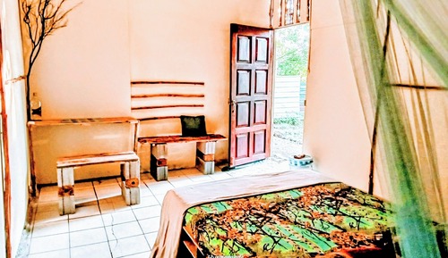 Standard Shared Dormitory