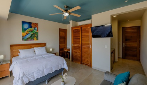 Deluxe Apartment, 1 Queen Bed with Sofa bed, Partial Ocean View