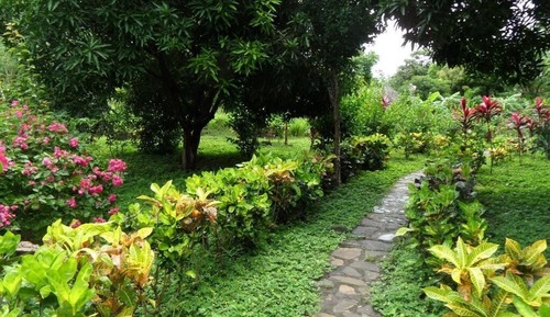 Family Bungalow, Balcony, Garden View